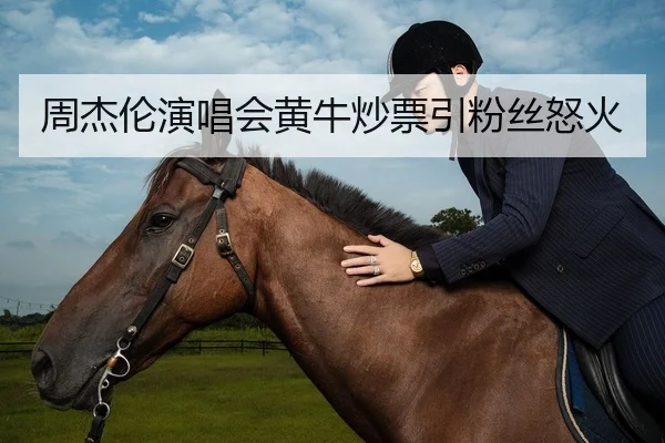 周杰伦演唱会黄牛炒票引粉丝怒火